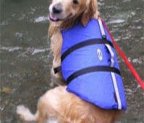 mont-bell 大型犬専用 ライフジャケット Lサイズ