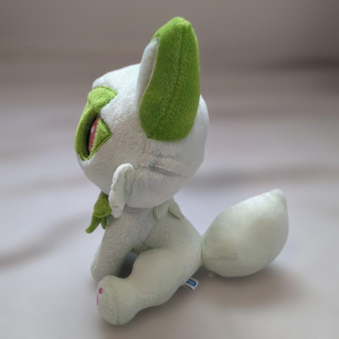 ポケットモンスター なでてみつめてぱちくりニャオハ