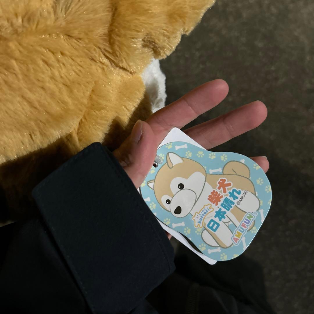 犬のぬいぐるみ 茶色と白 中型