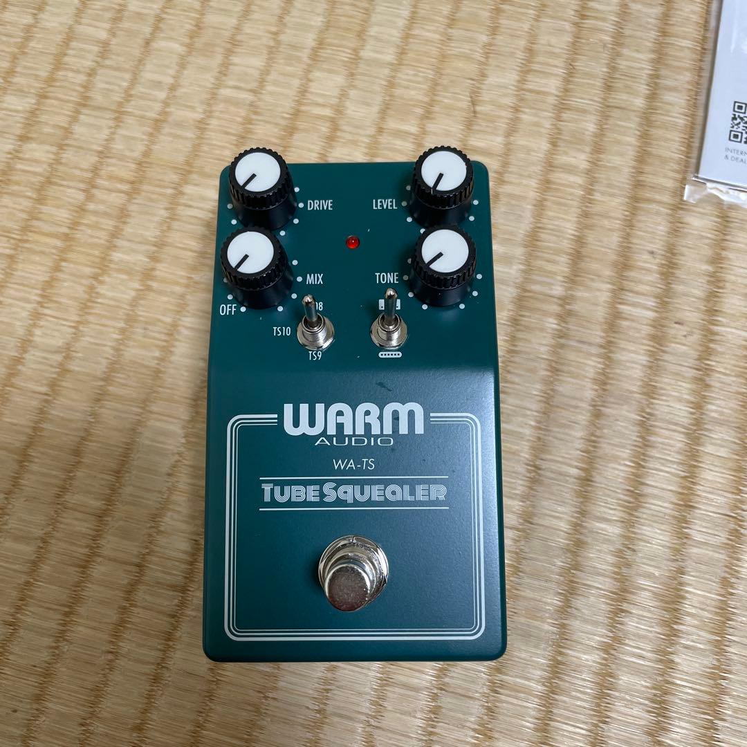 ギター WARM AUDIO / Tube Squealer