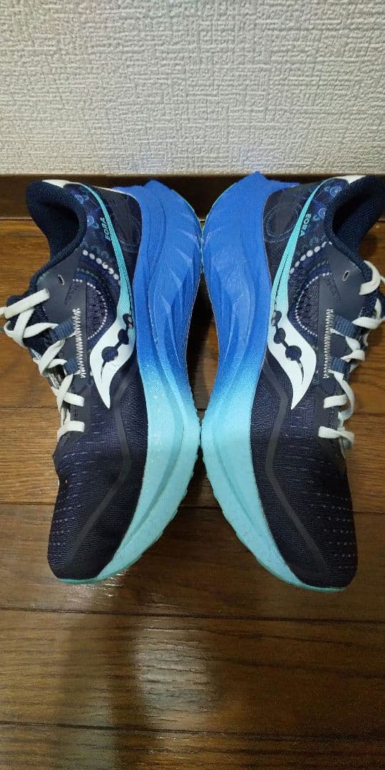 saucony サッカニー エンドルフィンスピード4