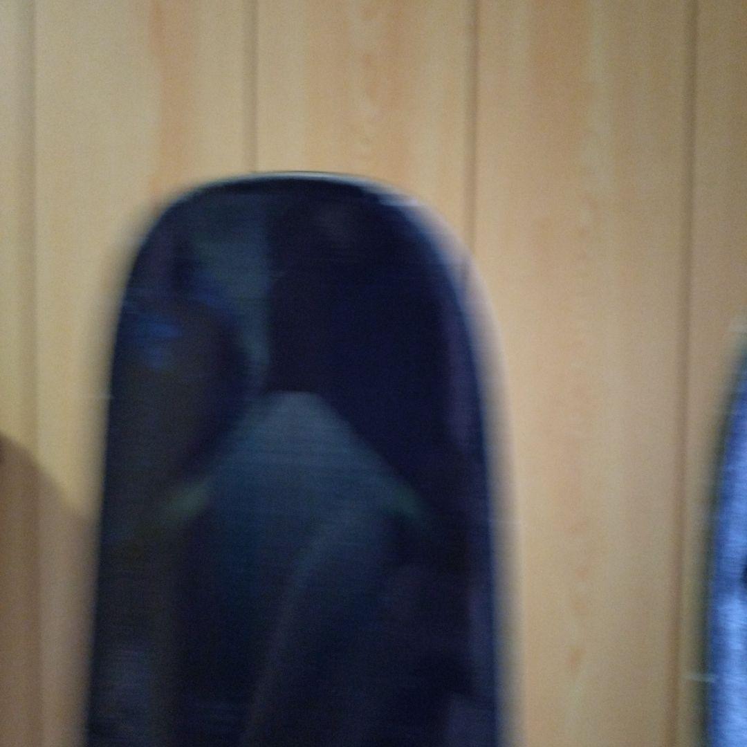 Salomon S スキー quest 99