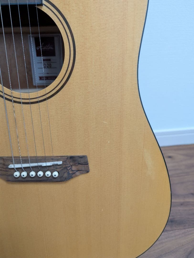 Ashton D20 アコースティックギター