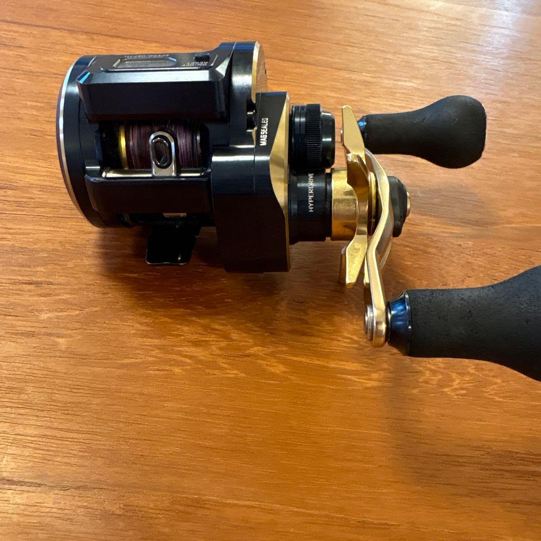 DAIWA SALTIGA IC IC 100PL-DH ソルティガ