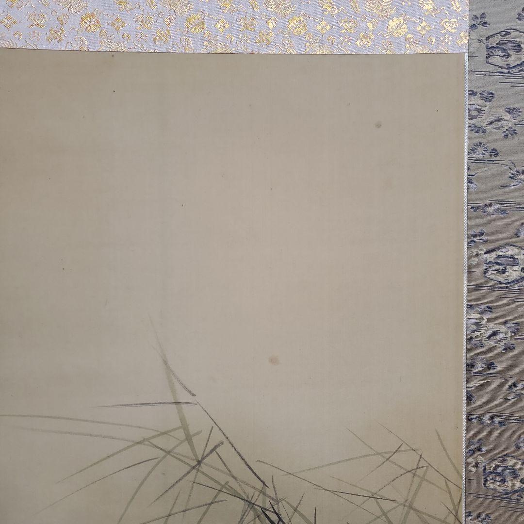 掛軸　　春堂(猛虎)　肉筆