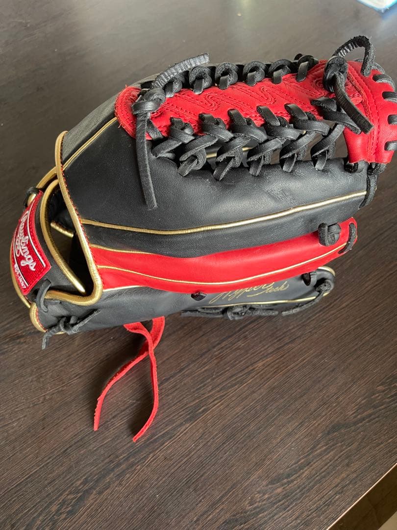 Rawlings The Gold Glove 両利き