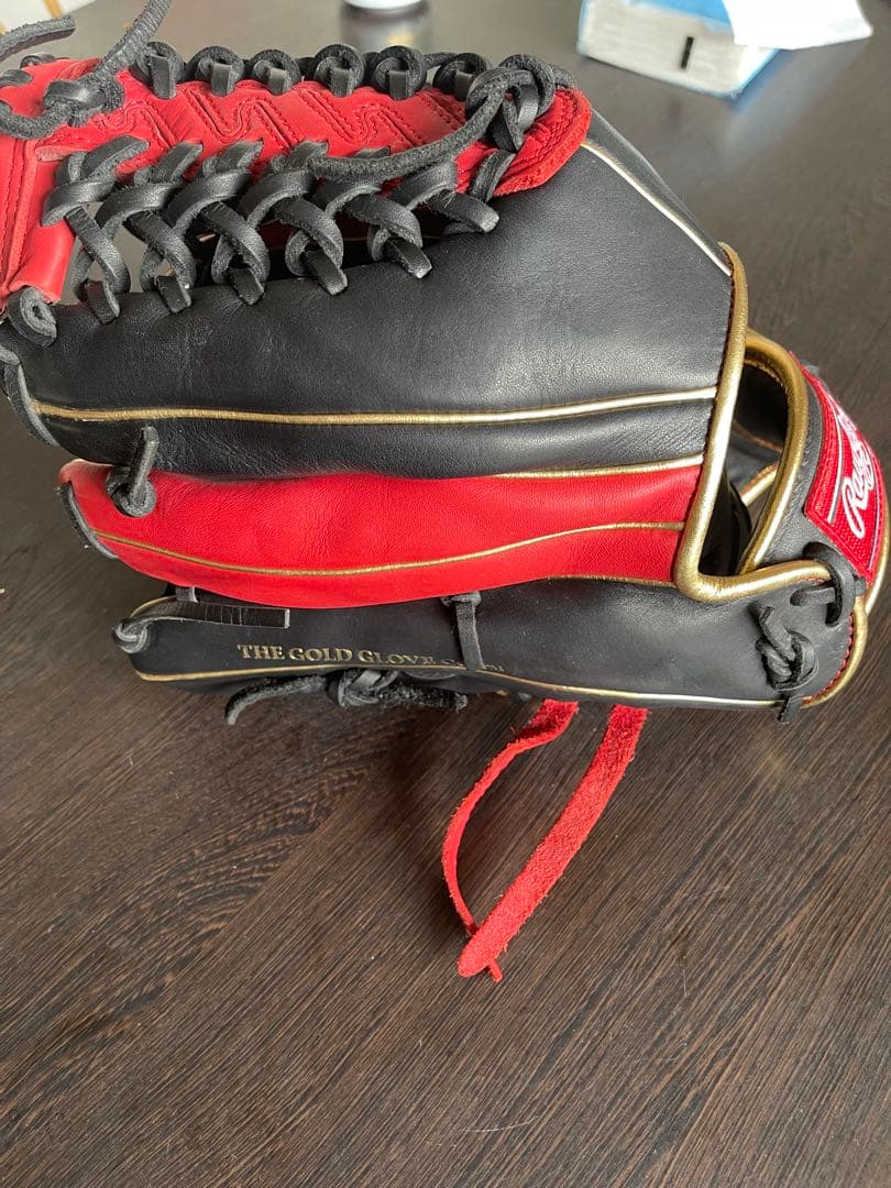 Rawlings The Gold Glove 両利き