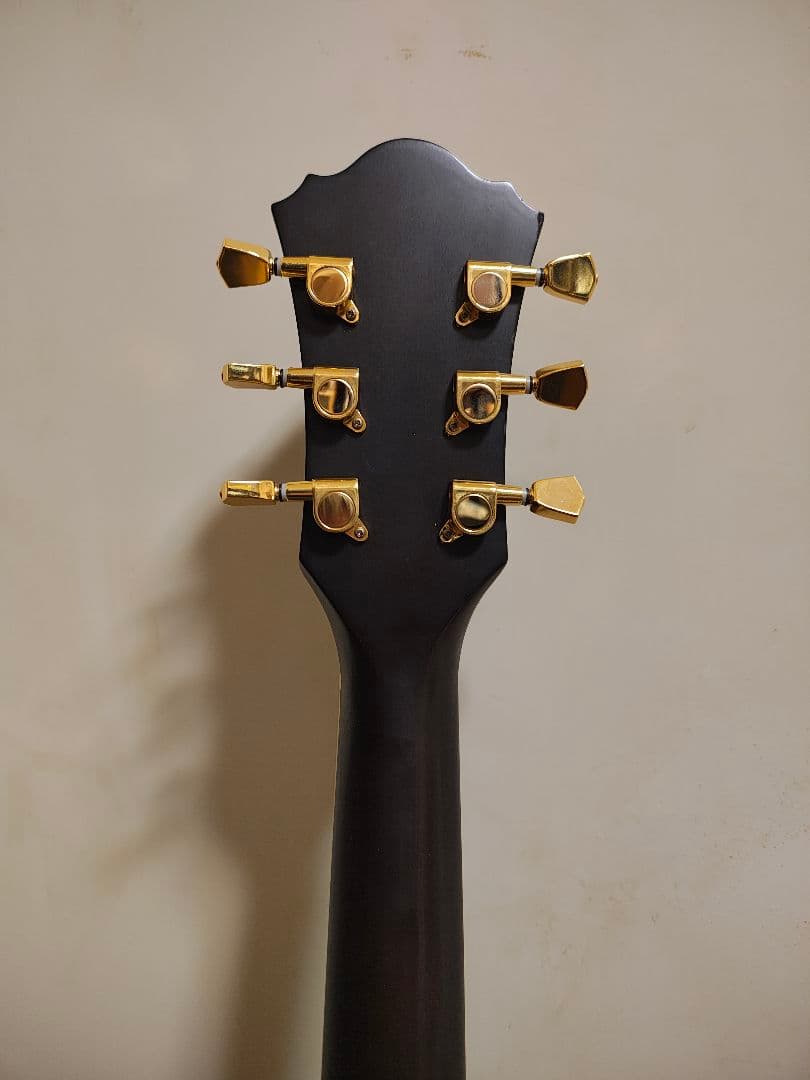 IbanezエレアコAEL12ERTK1201/ソフトケース付