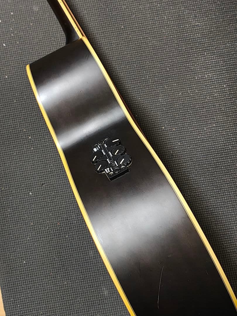 IbanezエレアコAEL12ERTK1201/ソフトケース付