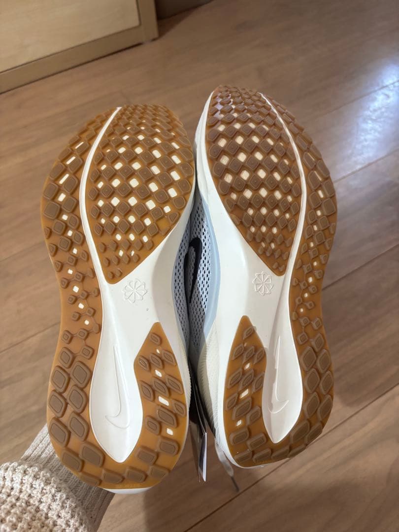 【タンケ】Nike pegasus 41 25.5cm