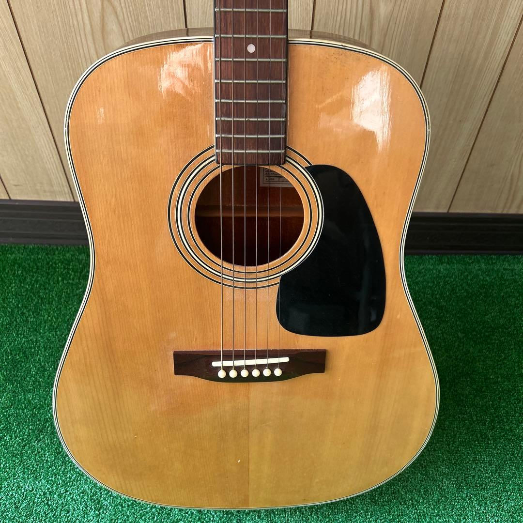 Takamine アコースティックギター