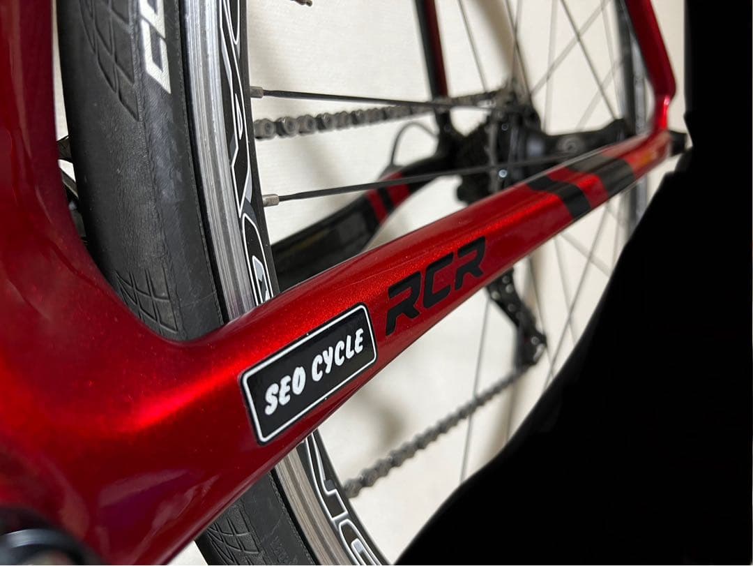 GUSTO RCR DURO SPORT EVO 2019 L(カスタム有り)