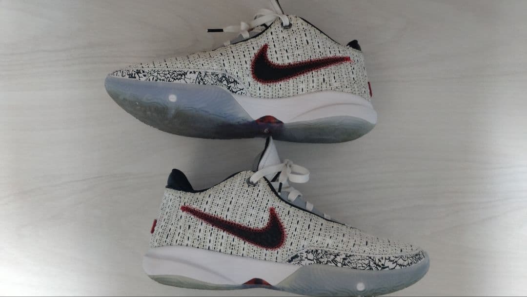 NIKE ナイキ　LEBLON20 レブロン20