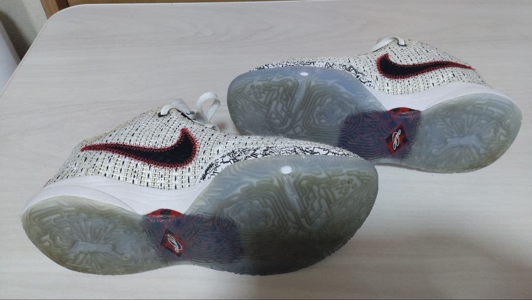NIKE ナイキ　LEBLON20 レブロン20