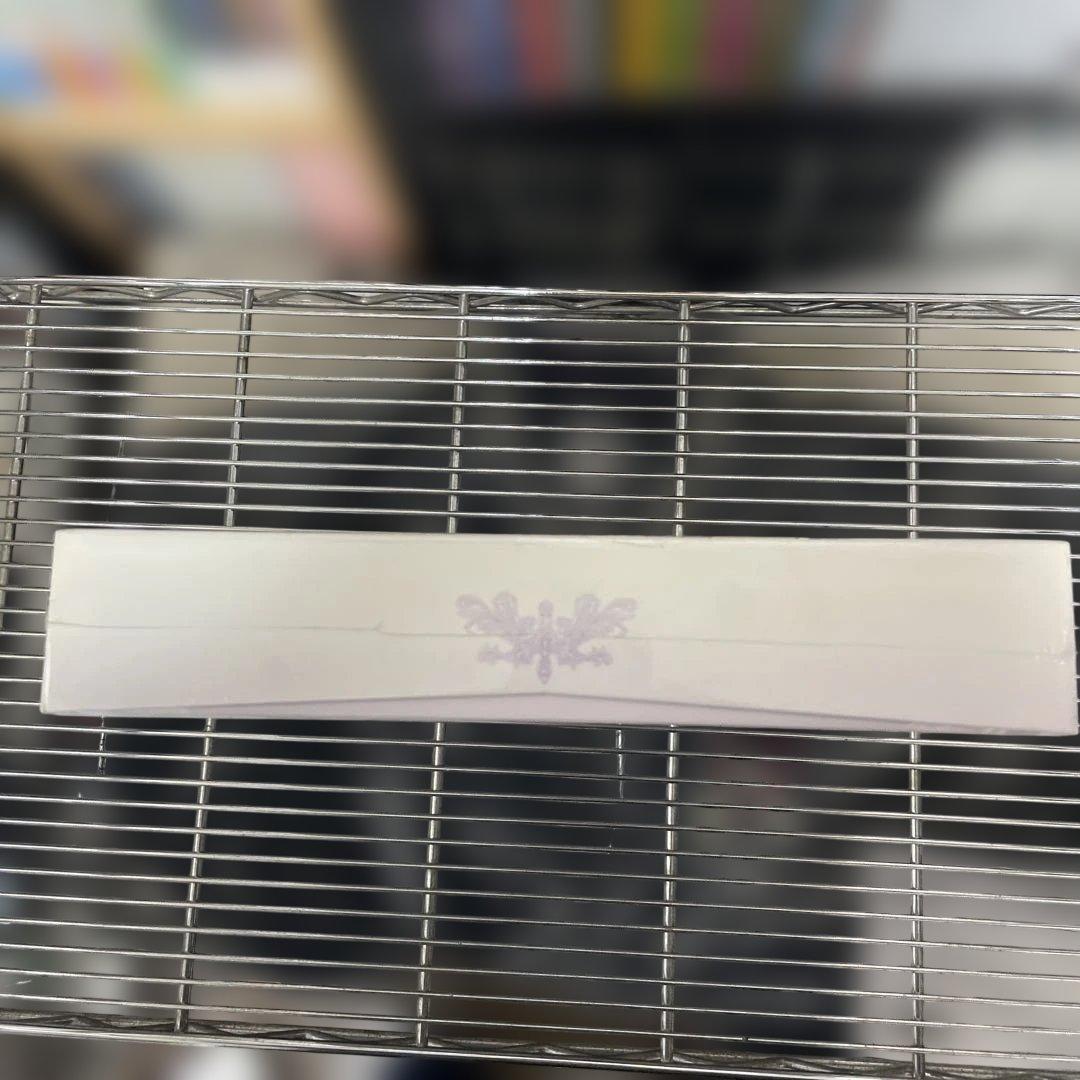 聖なるかなザウス(Xuse)ユーフォリア抱き枕カバー＆スティックポスター未開封品