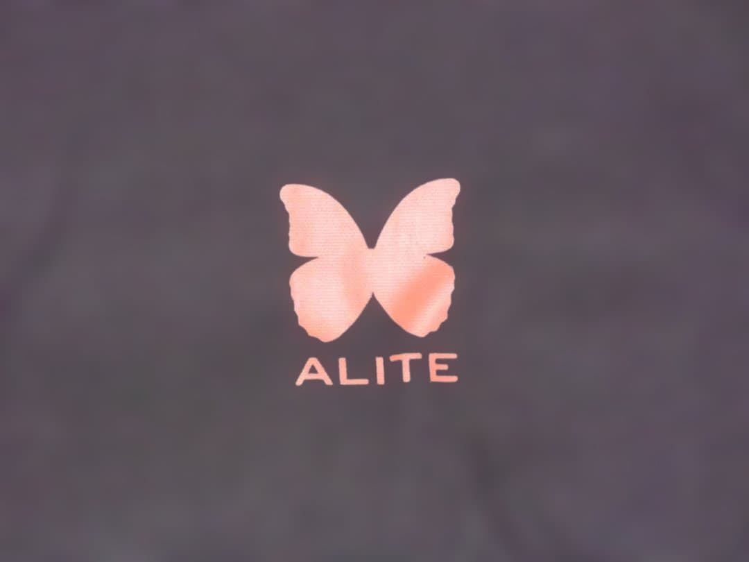 ALITE Calpine Chair/カルパインチェア ブラック
