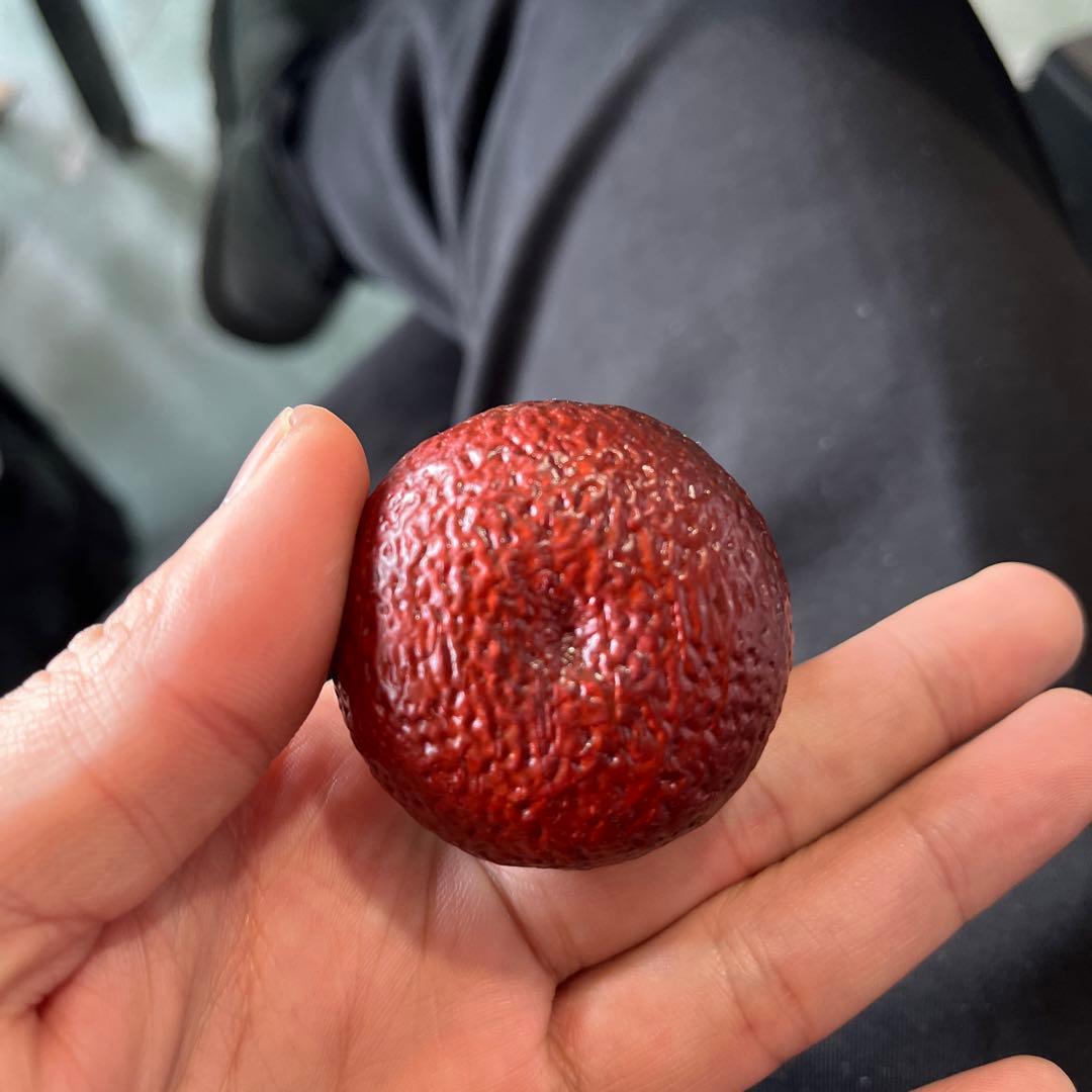 果物型フィギュア 赤色 リボン付き