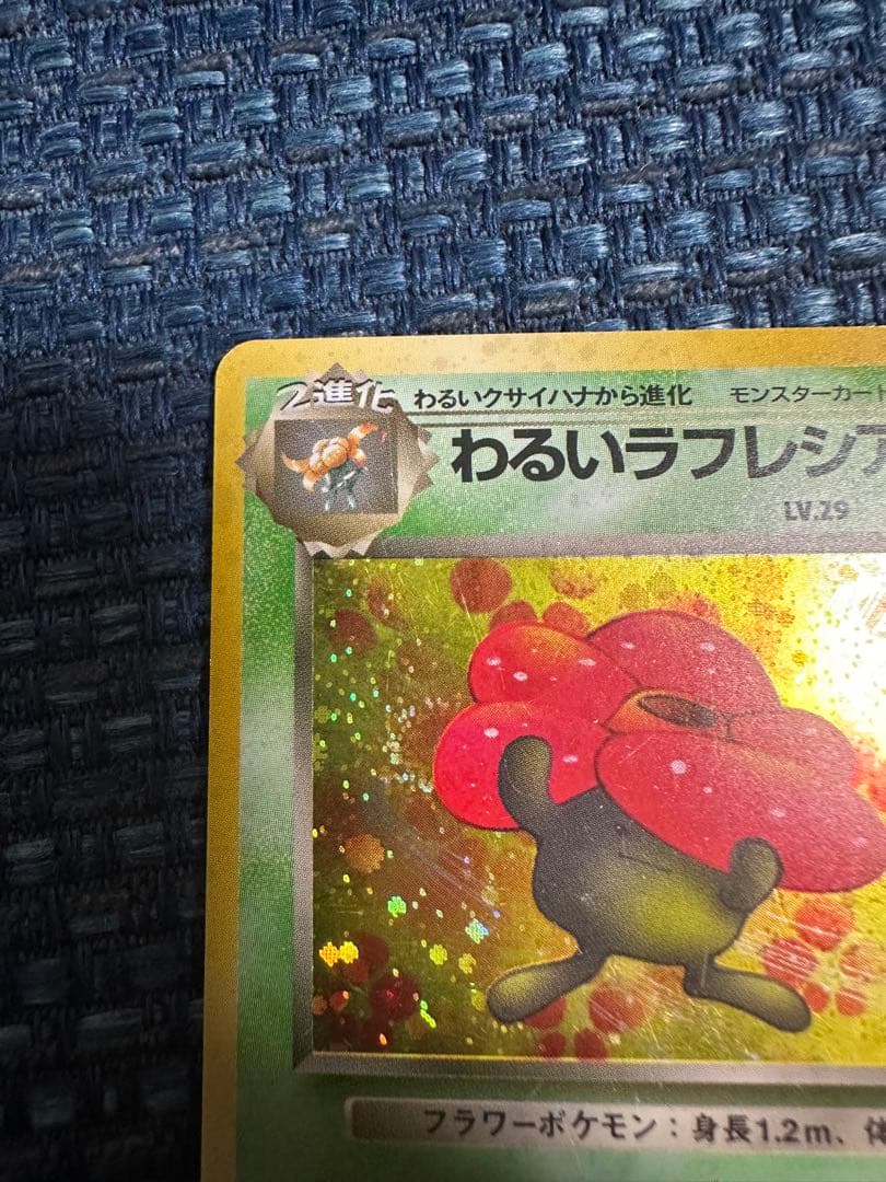 わるいラフレシア 旧裏