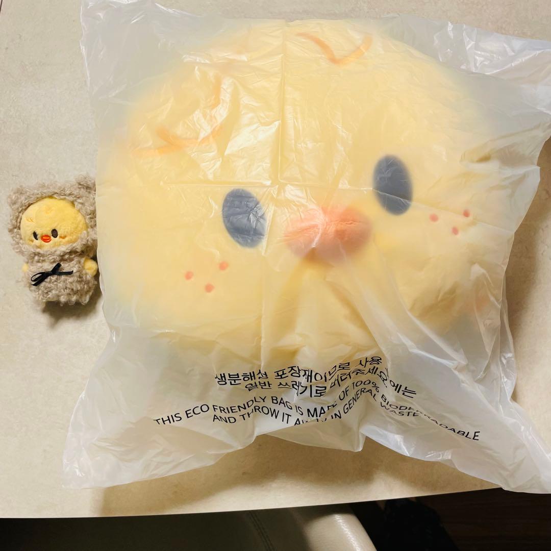 ポガリ　BbokAri クッション　SKZOO CUSHION BABY