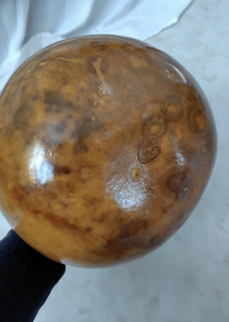 フラダンス　イプ　楽器