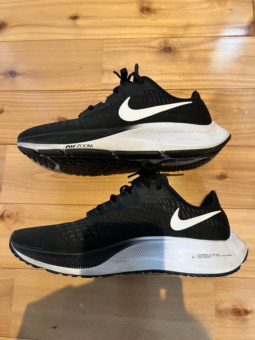 Nike ペガサス37 25cm
