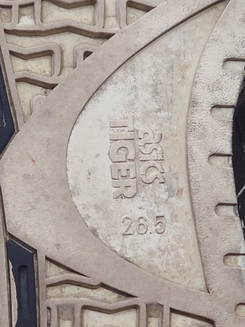 レア商品 サンプル? ASICS TIGER ポイントゲッター