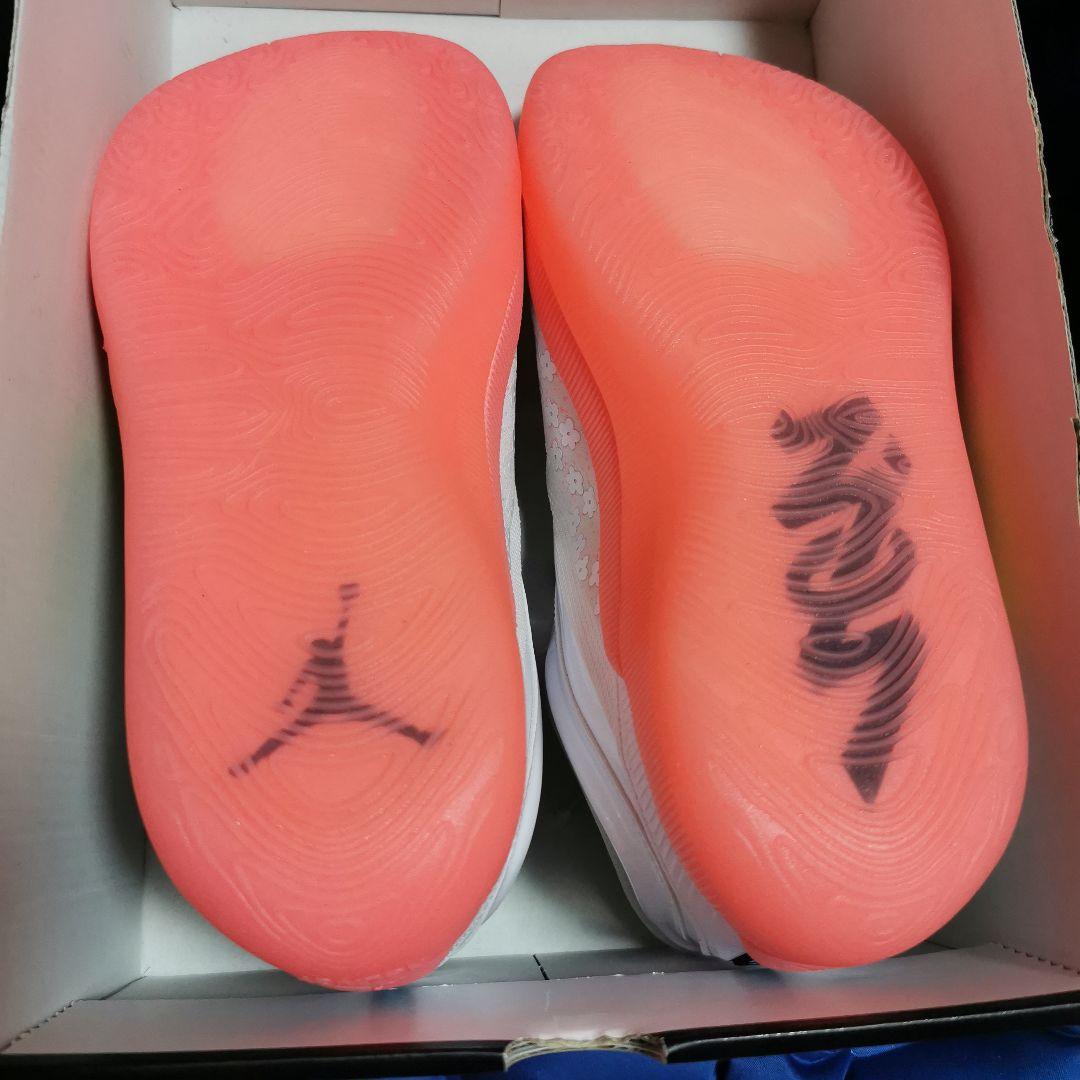 Jordan zion 4 PF ジョーダン　ザイオン　シャロンダ　26cm
