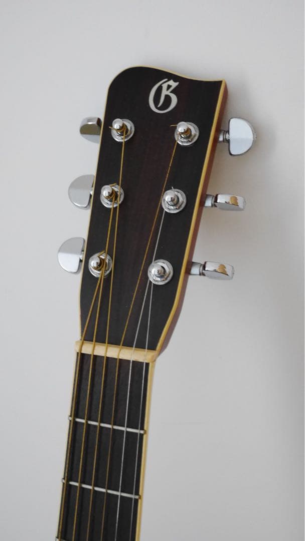 ★超美品★レア物★Gallagher GL-9C ❤️価格応相談❤️