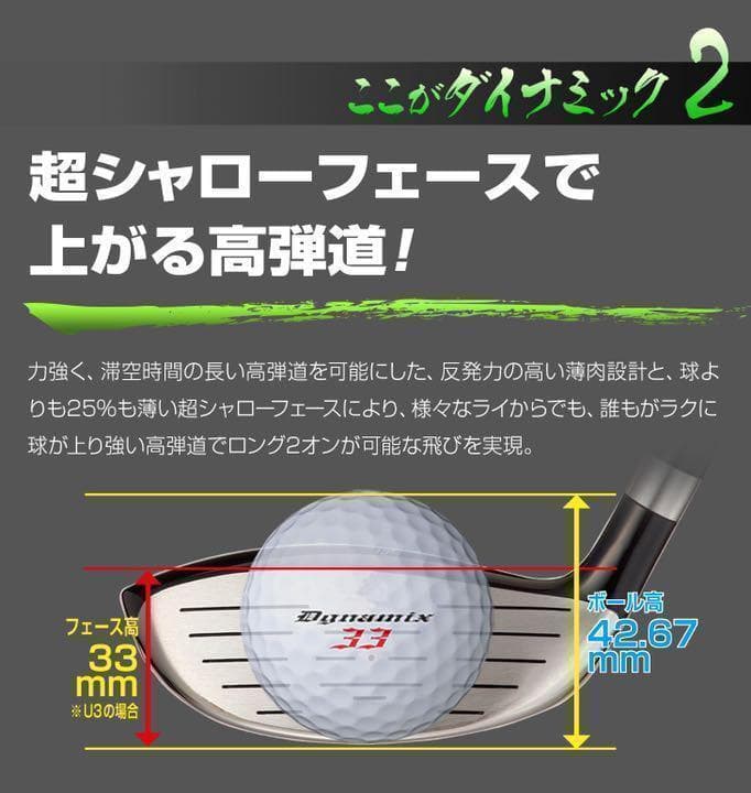 ★ 1.3.5.7.9番★豊富に選べて最安値★ ダイナミクス 適合限界強反発FW