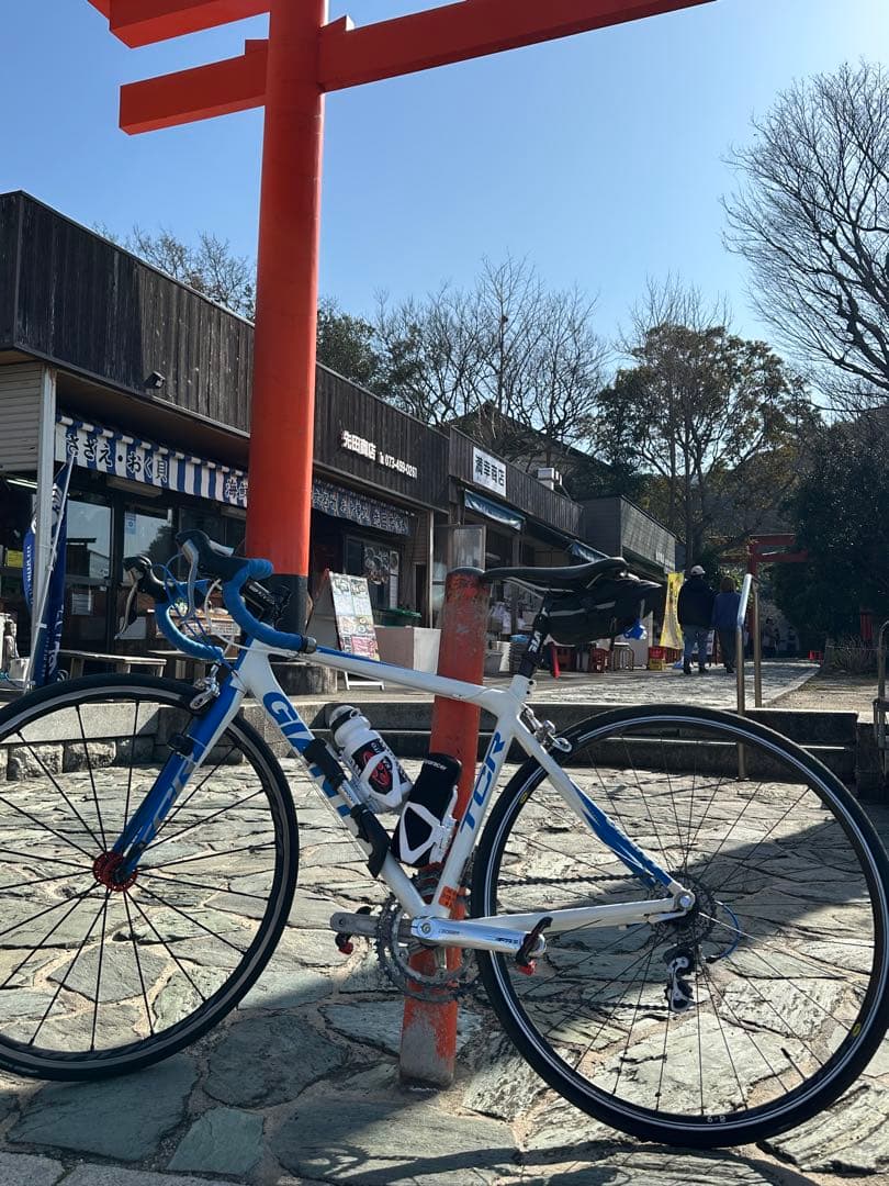 最終値下け Giant TCR 2009 Mサイズ