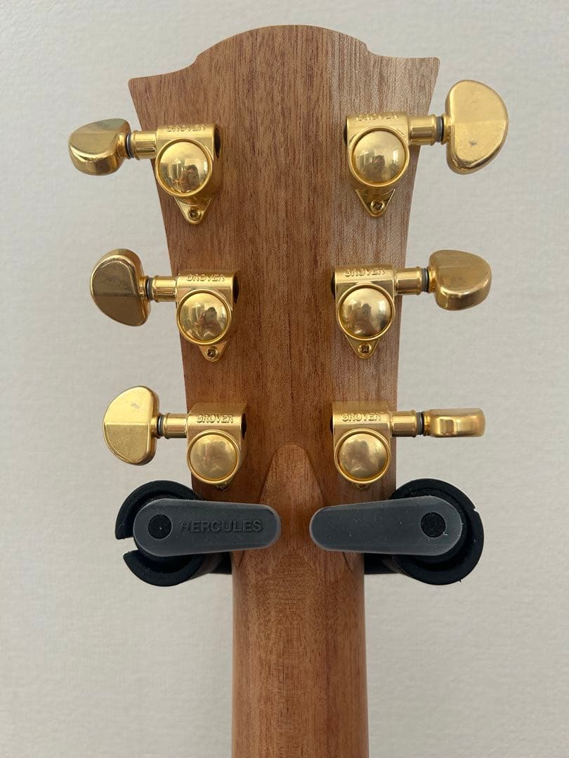 ギター Cole Clark Fat lady2 CCFL2-EC-BB Bunya