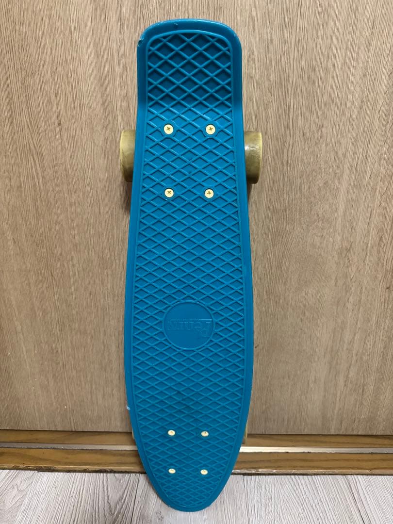 Penny ペニー オーシャンミスト 22インチ