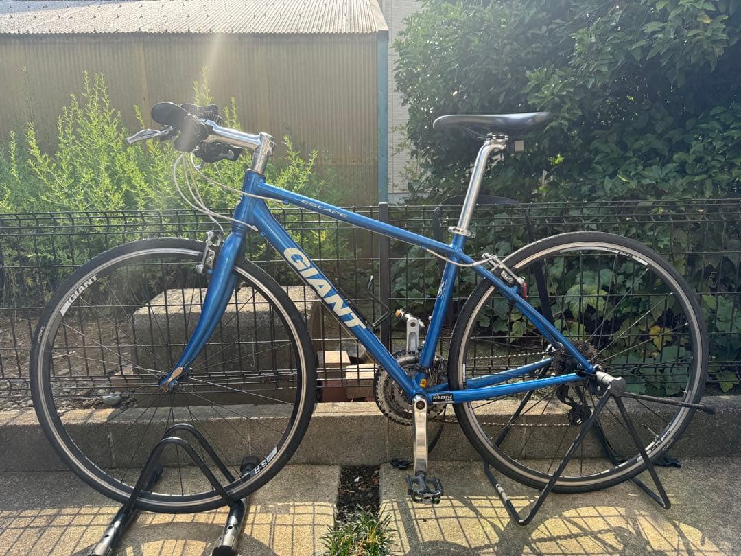 GIANT ESCAPE （週末の引き取り限定）