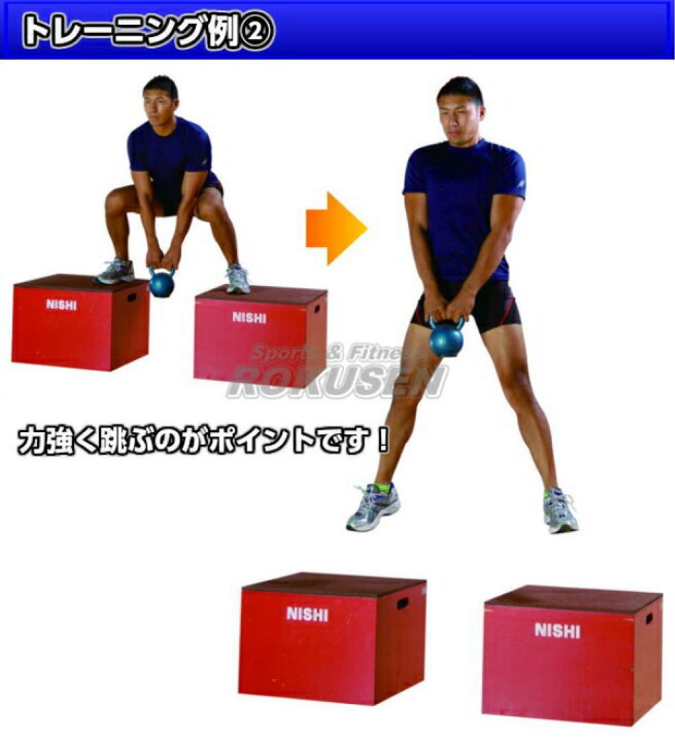 【美品・プロ仕様】NISHI（ニシ・スポーツ）プライオボックス II 45cm