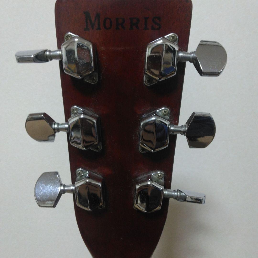 Morris モーリス　W-20 アコースティックギター