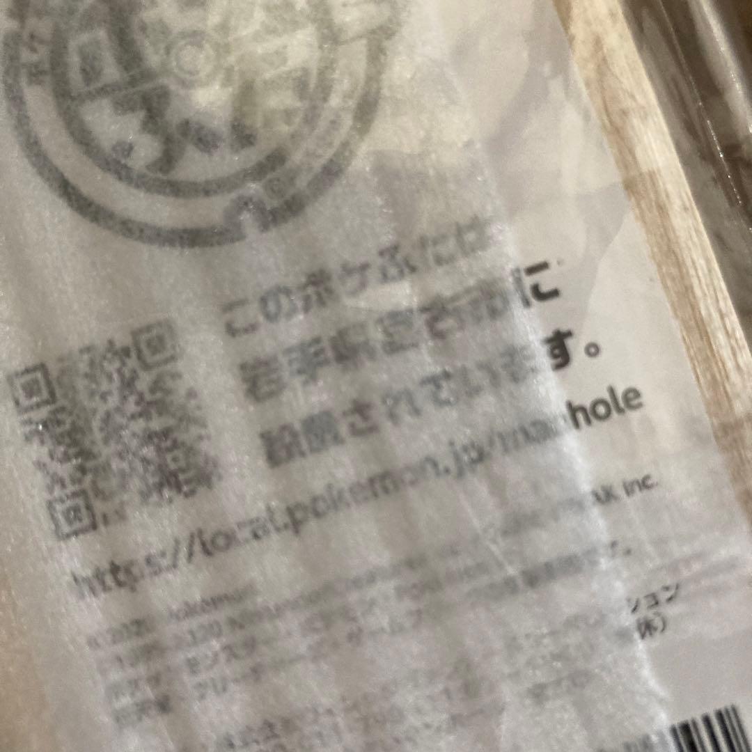 【レア・希少】 ポケふた 小さなマンホール ミニチュア イシツブテ 岩手 宮古