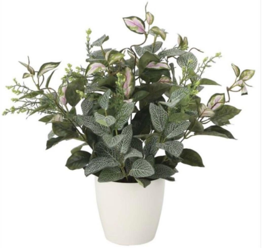 光触媒　人工観葉植物　ウォールグリーン　フェイクグリーン　ミックスフィットニア