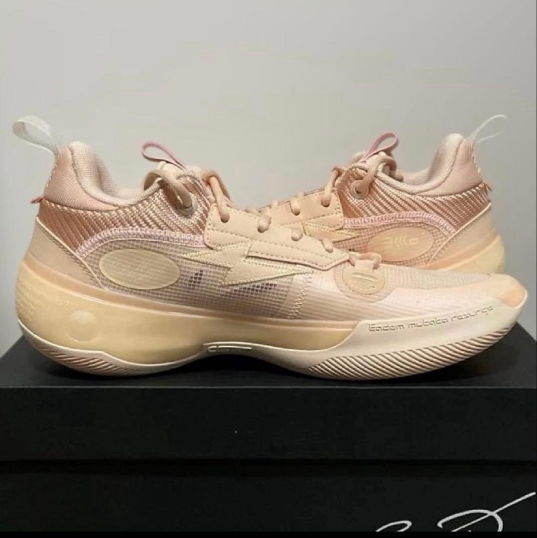 リーニン　WAY OF WADE 10 LOW 26.0cm(US8.5)