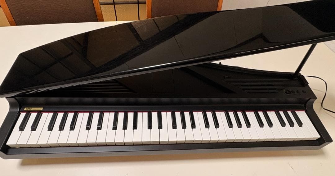 Y【中古品】KORG microPIANO キーボード ケース付き 61鍵 S