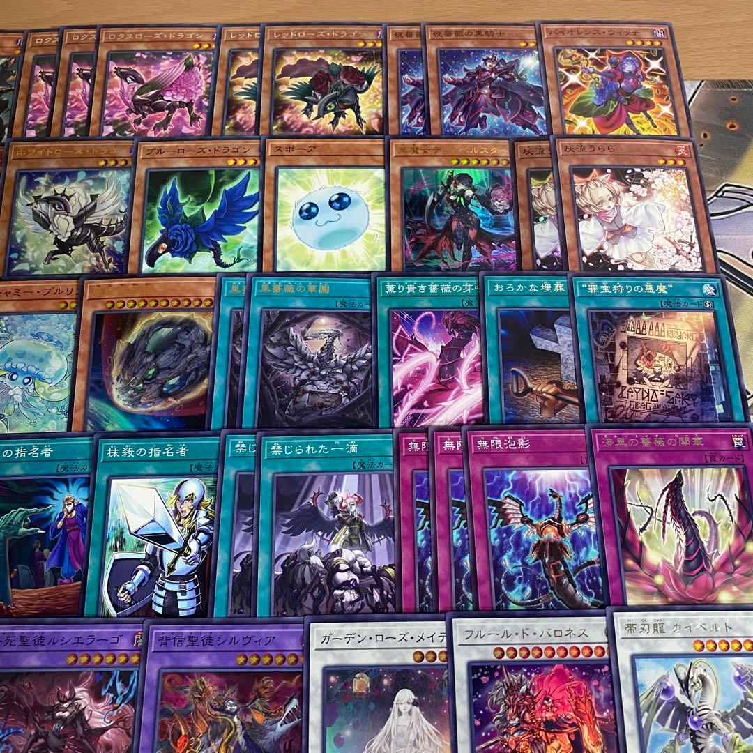 本格構築 ブラックローズドラゴン デッキ 黒薔薇の破滅竜 血樹竜姫ドラセレア