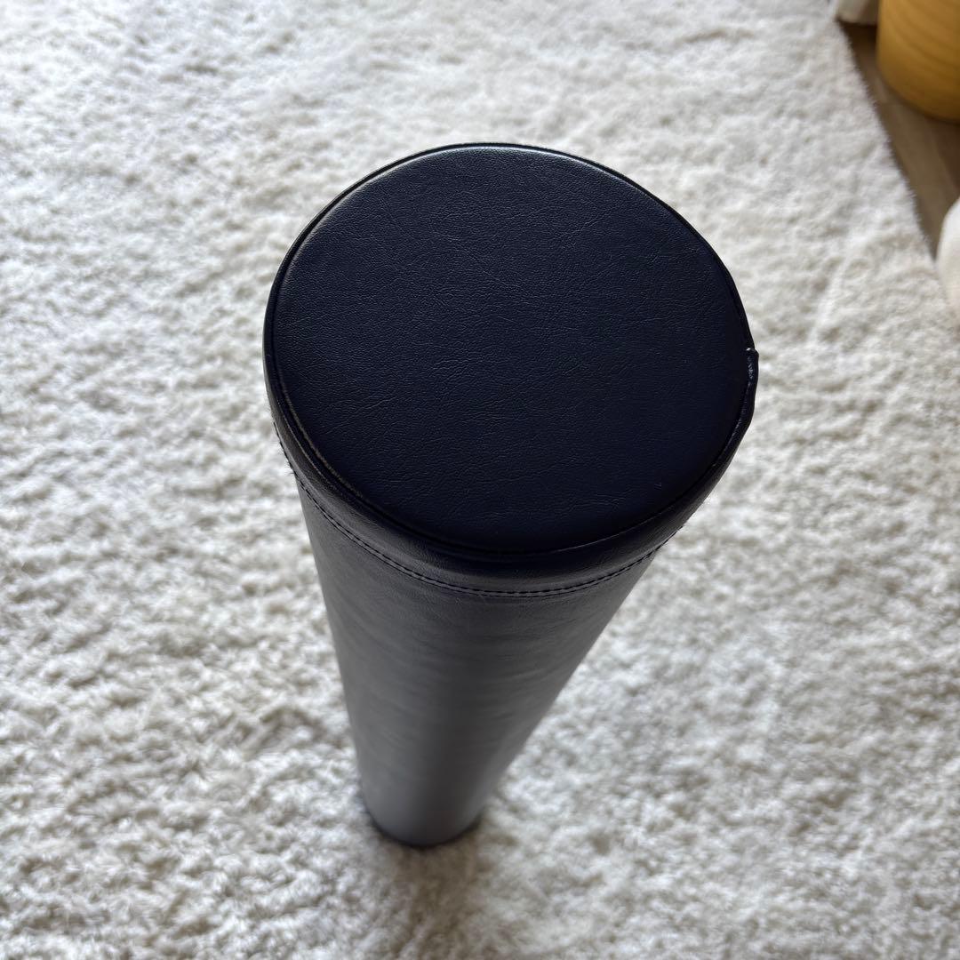 LPN社製 Stretch Pole ストレッチポールEX