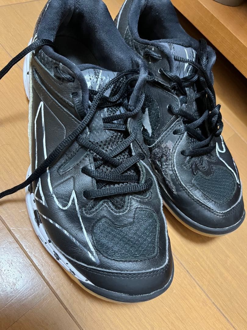 ミズノ BDSS 限定 バドミントン シューズ ウエーブクロー プロ