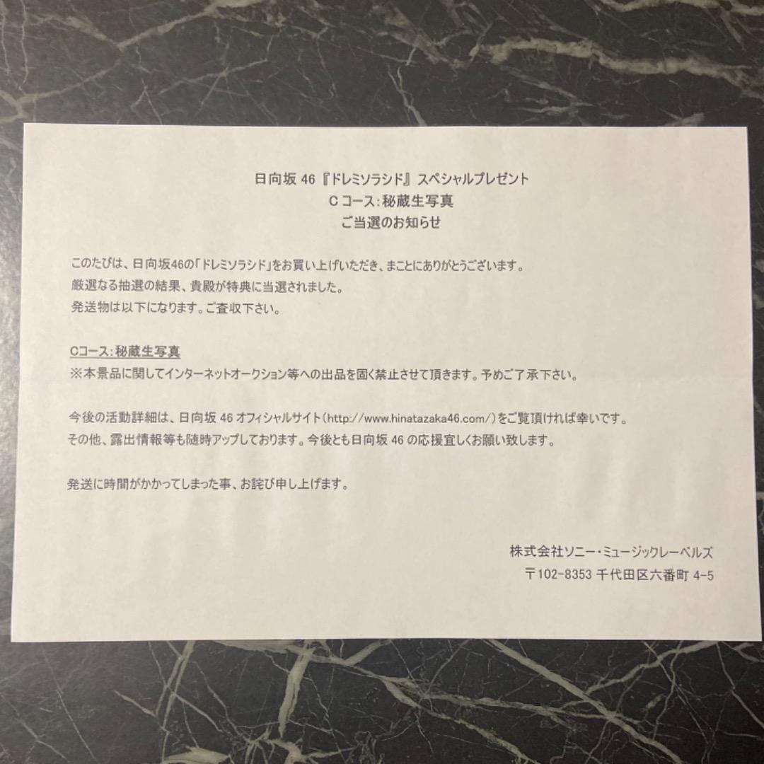 【希少】日向坂46 富田鈴花 ドレミソラシド スペシャルプレゼント 秘蔵生写真