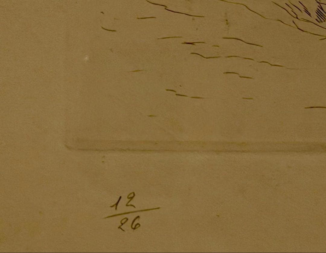デュノワイエ「Sunbather」銅版画 裸婦図直筆 限定版 額装 #246
