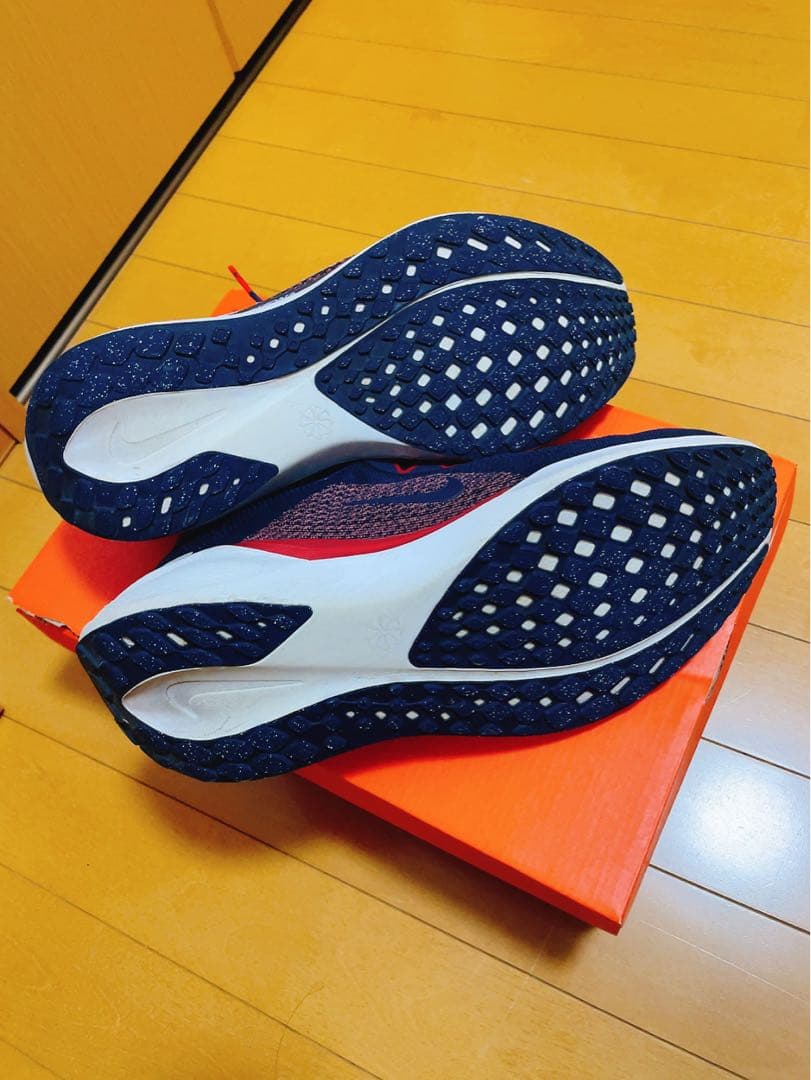 スパイク・シューズ Nike x NCAA Pegasus 41 Arizona 28.0cm