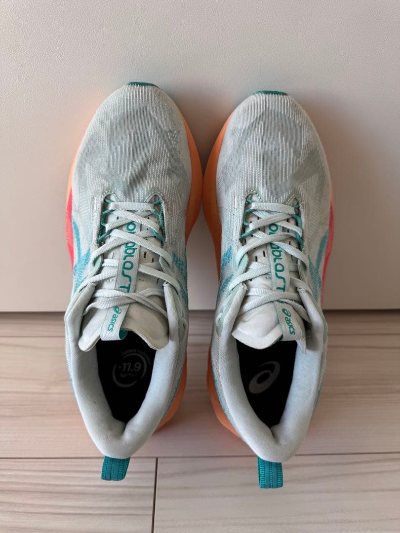 ASICS アシックス　NOVABLAST 5 27.0 ノヴァブラスト