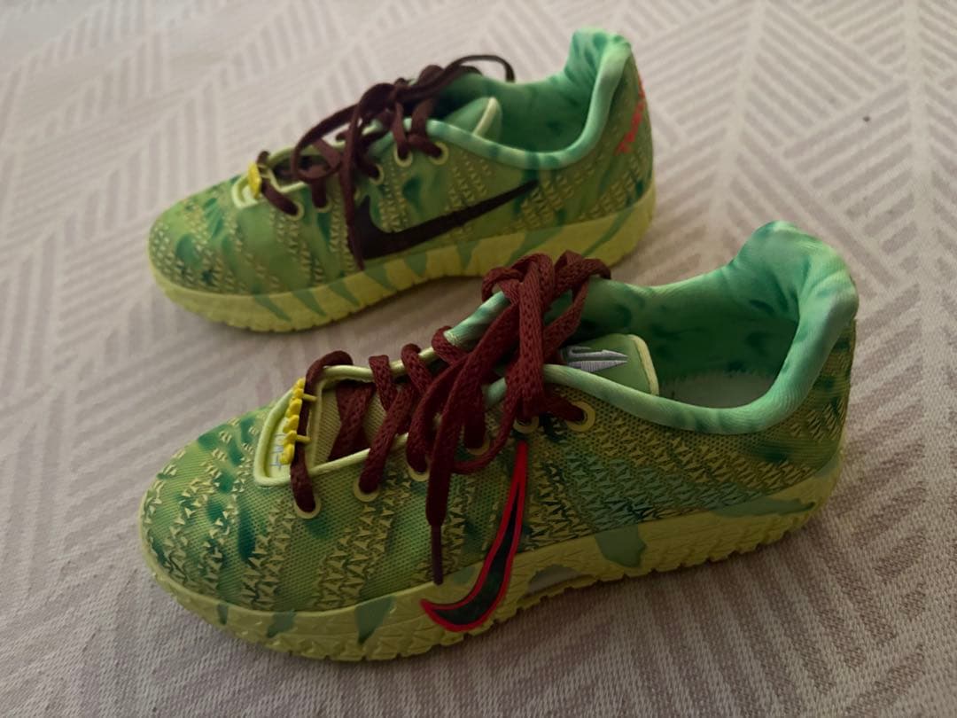 Nike Tierra グリーン バスケットシューズ