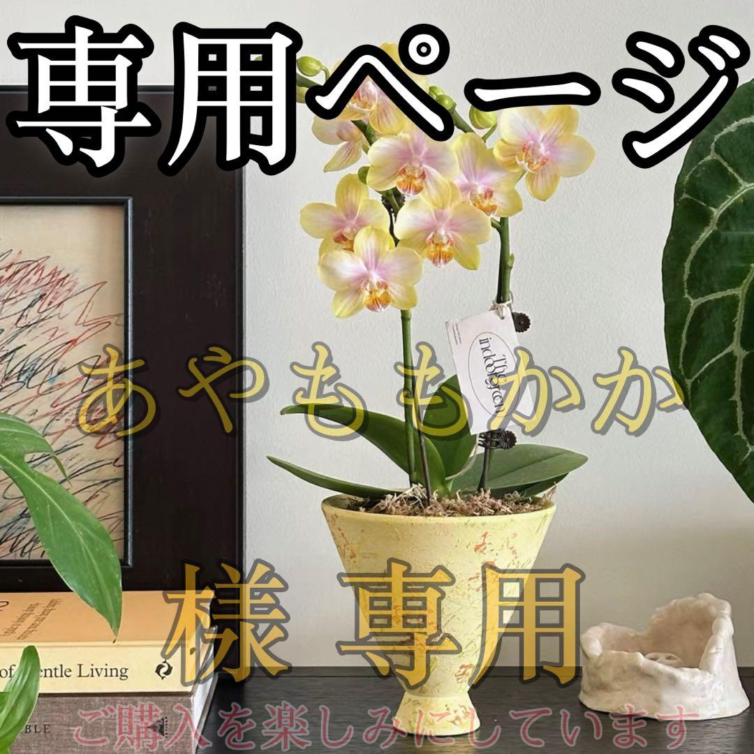 あやももかか様 專用