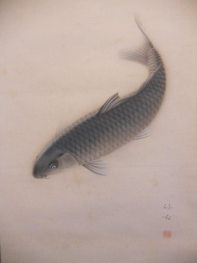 掛け軸 神水 鯉魚之図 絹本 希少 軸装 茶道具 掛軸 です。
