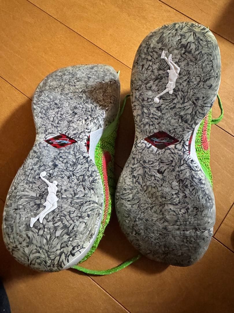 Nike バスケットシューズ グリーン/レッド
